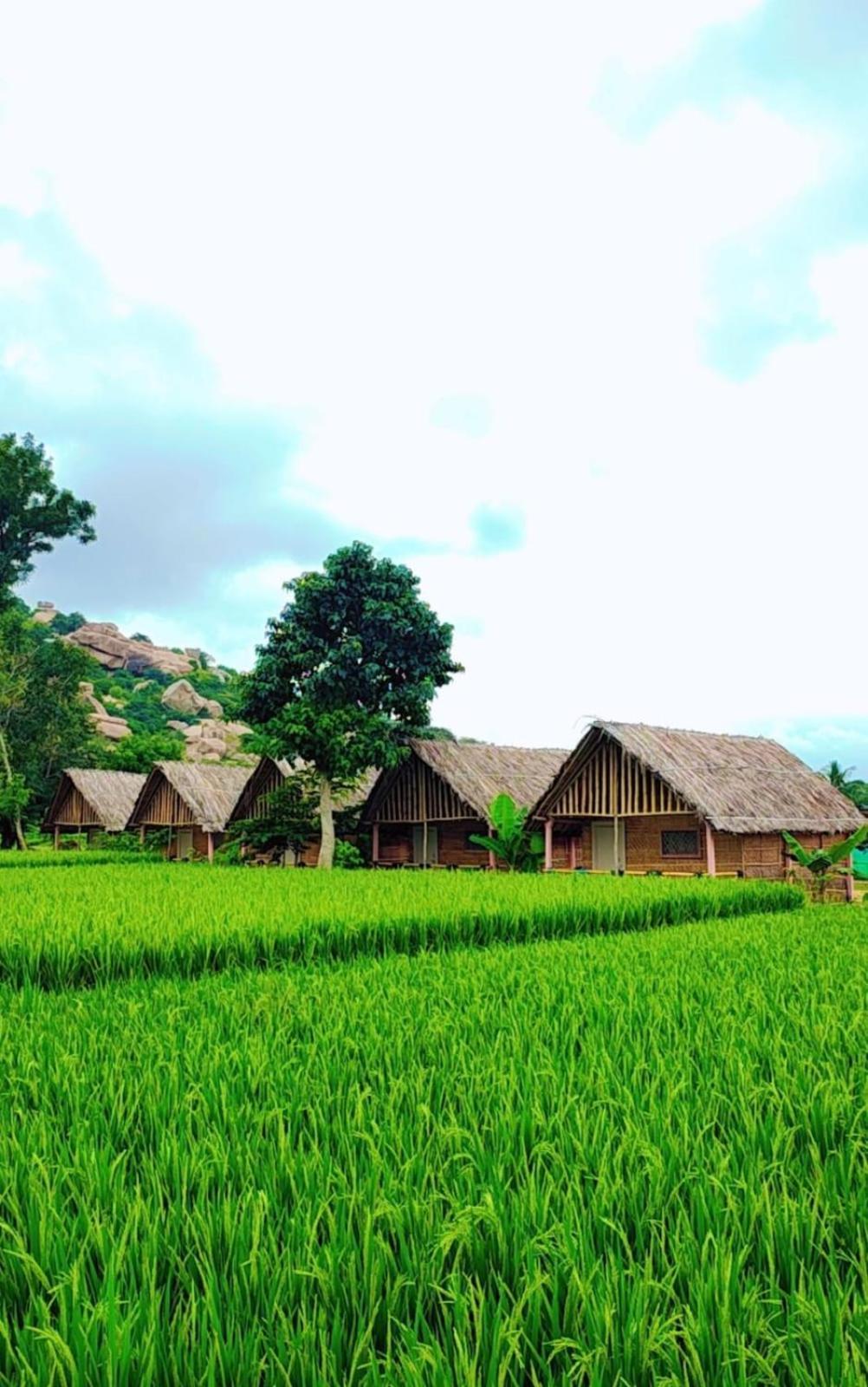 Om Shanti Om Home Stay & Cafe Hampi Bagian luar foto